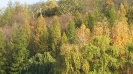 Válogatás-001_54